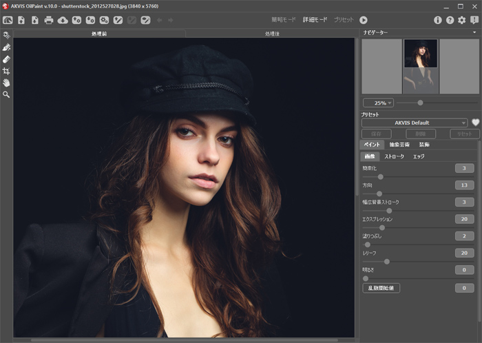 AKVIS OilPaint (画像変換ソフトウェア) AKVIS OilPaint (画像変換ソフトウェア)