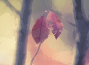 Original Colors
