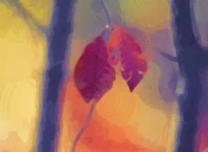 More Saturated Colors