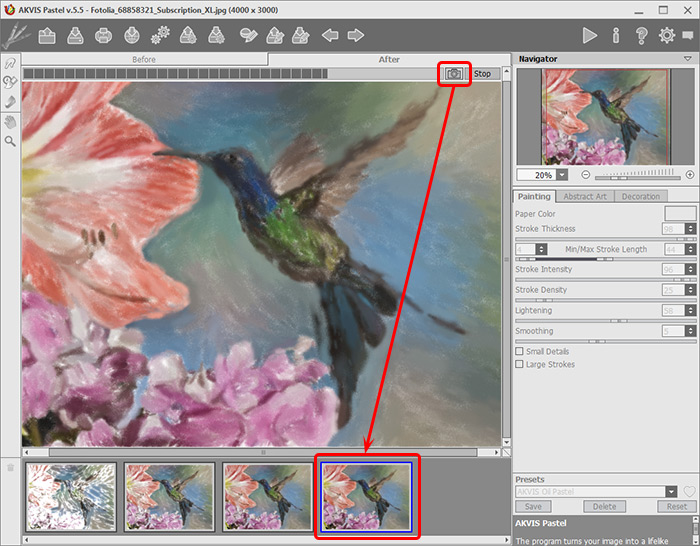 Image Processing in AKVIS Pastel