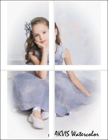 Large Format Printing on Multiple Pages