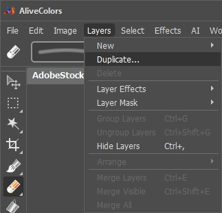 Duplicate Layers