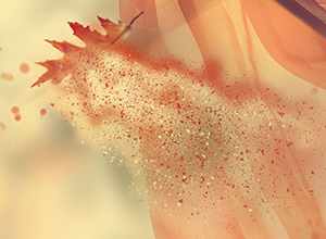 Particles Flying to The Right