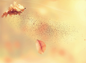 Small Particles