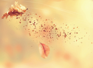 Large Particles