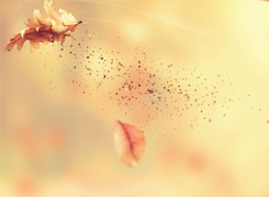 Few Particles