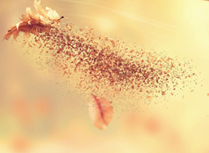 More Particles