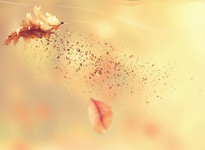 Reduction of Size of Particles