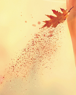Particles