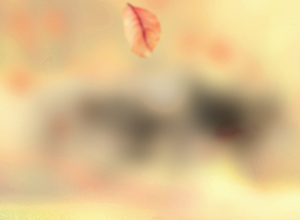 Strong Blur