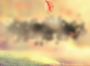 Enlarged Effect Area