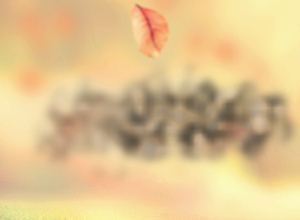 Small Swirls