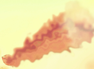 Without Fading
